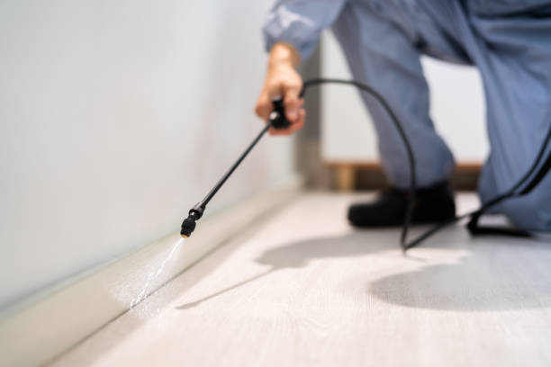 Licensed Pest Control service in Coburg, OR - Show Me Pest Control