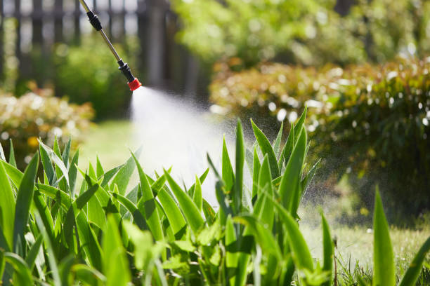 24/7 Emergency Mosquito Control experts in Coburg, OR
